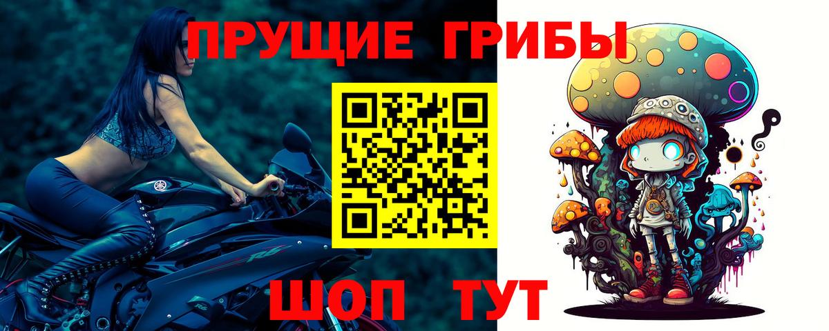 Городец  Псилоцибиновые грибы мухоморы  Вход с VPN 