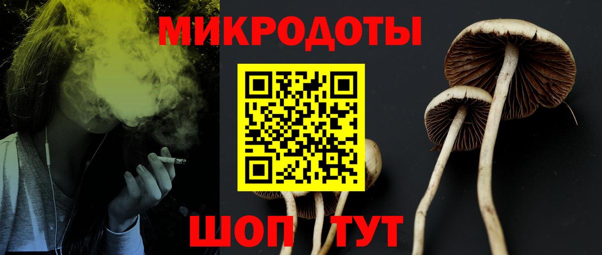 Галлюциногенные грибы мухоморы Городец